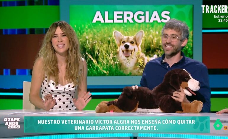 ¿Cómo se quitan las garrapatas? Estas son las recomendaciones del veterinario Víctor Algra