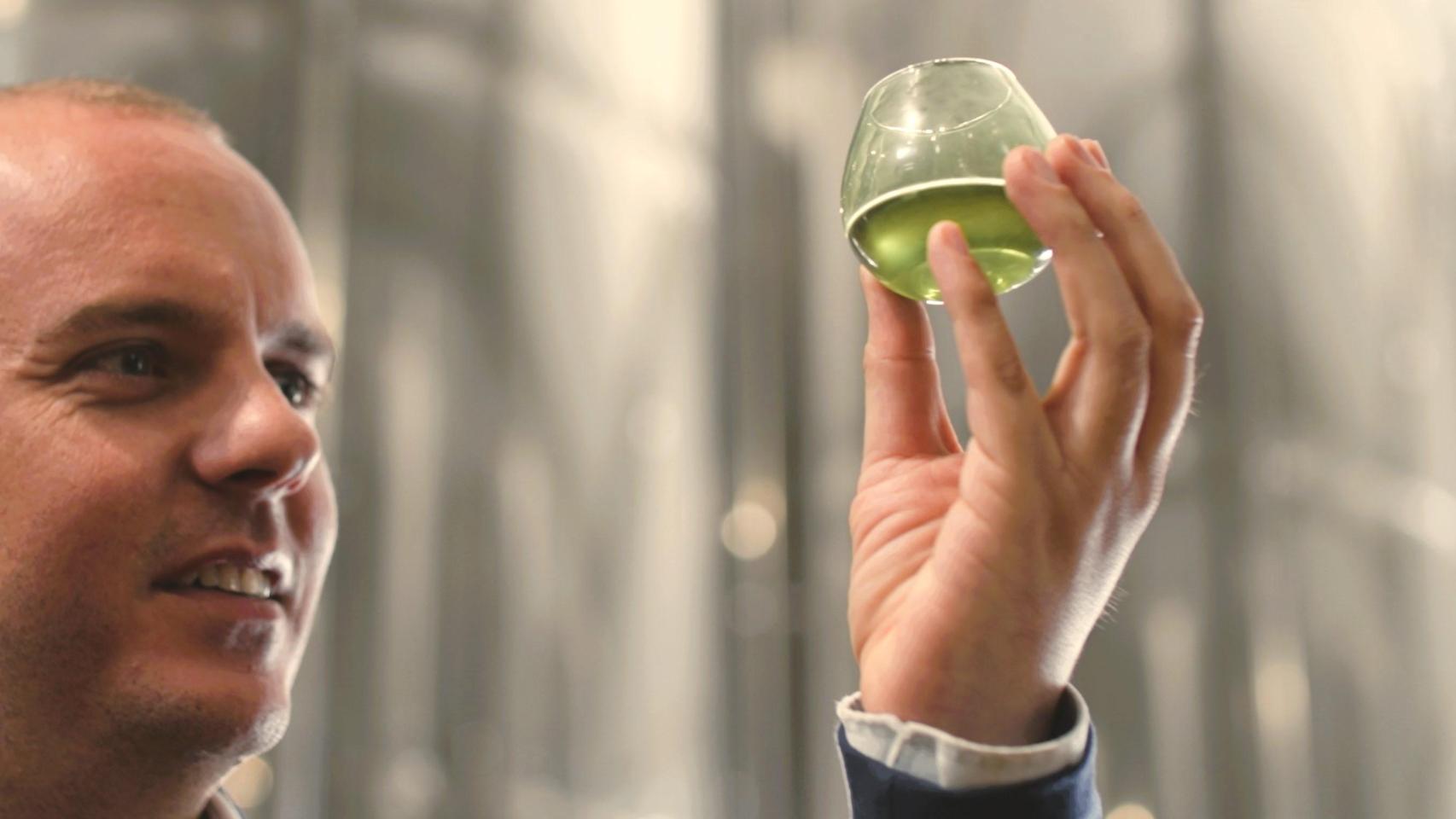 La almazara centenaria que se reinventa con innovación y logra un aceite de oliva virgen extra un 10% más puro