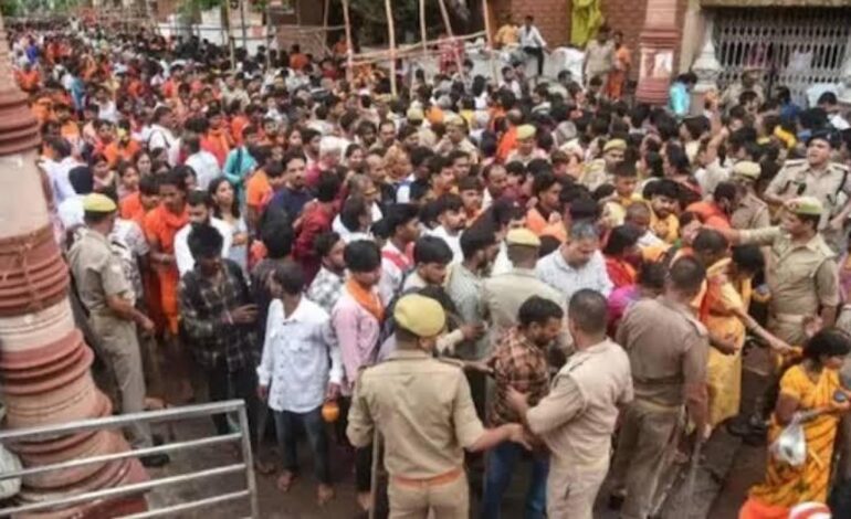Una estampida causada por un grupo de monos deja al menos dos muertos y 29 heridos en un evento religioso en India