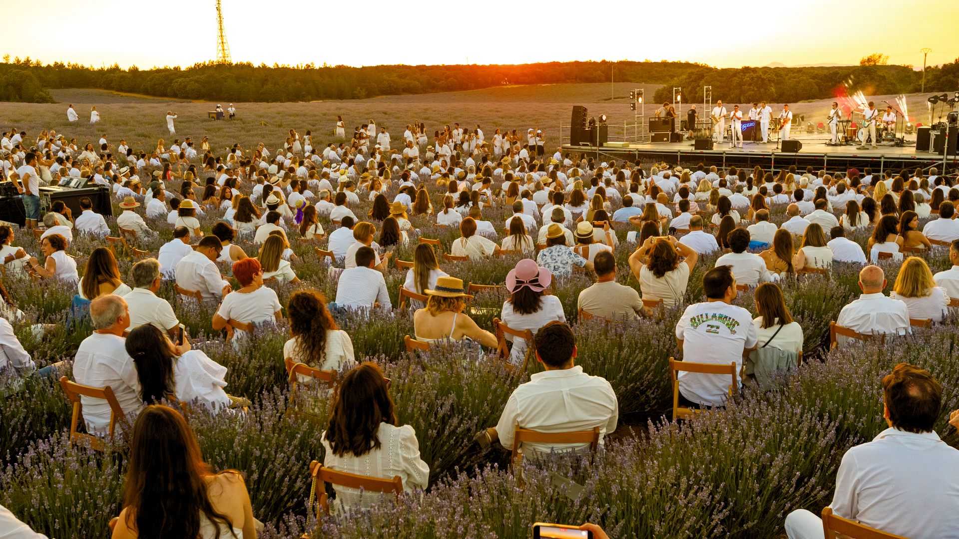 Festival de lavanda, con un 