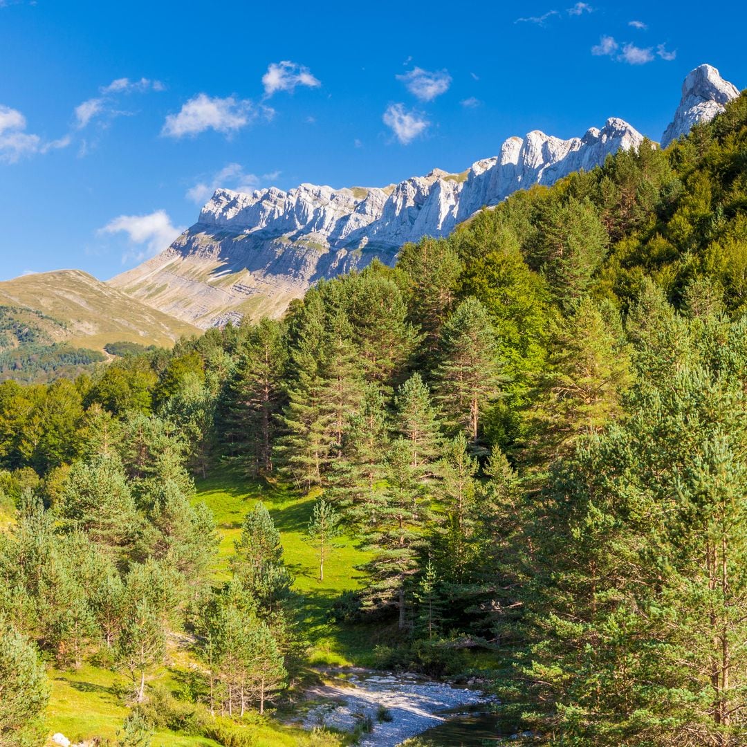 Sierra de Alano y Barranco de la Taxera, Zuriza, Ansó Valley, Huesca