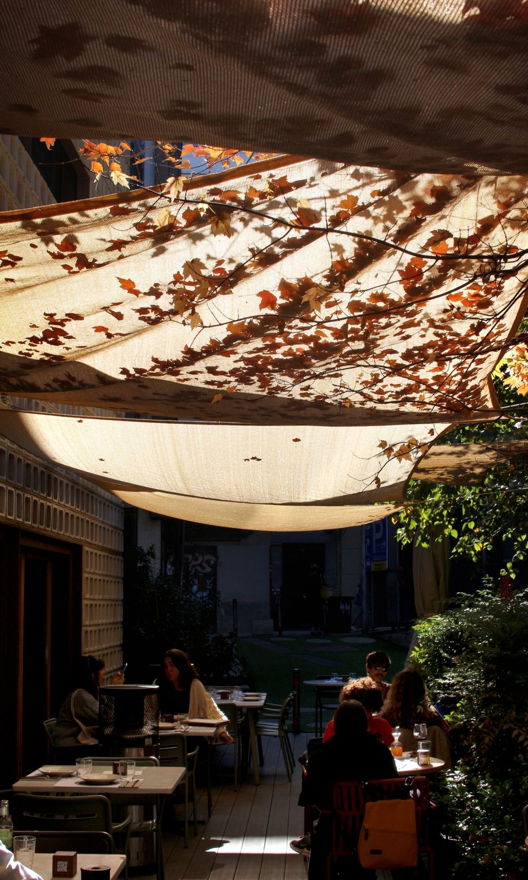 Restaurante Bosco de Lobos en Le Jardin du College of Architects of Madrid