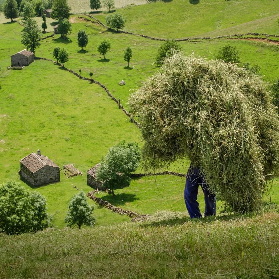 Prados de Los Valles Pasiegos, Cantabria