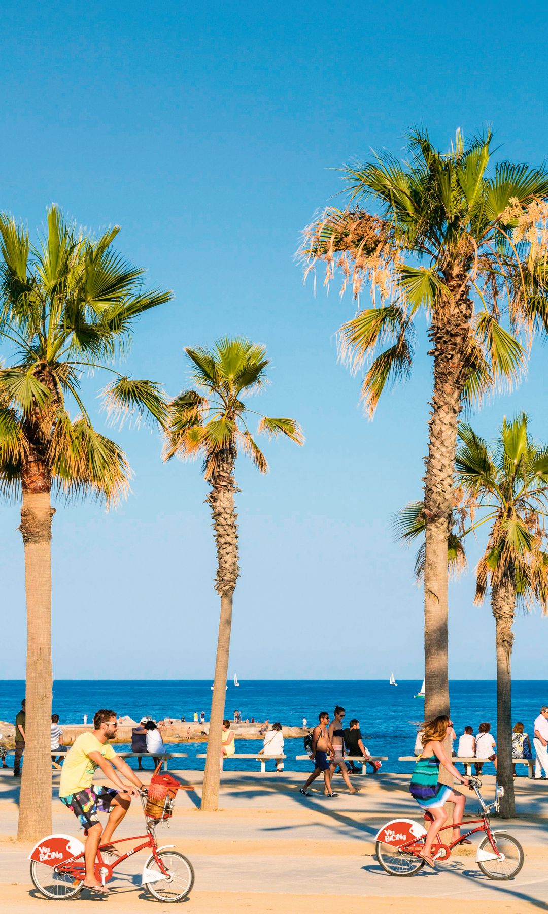 Vila Olímpica de Bogatell Beach, Bogatell en Barcelona, bicicletas y palmeras.