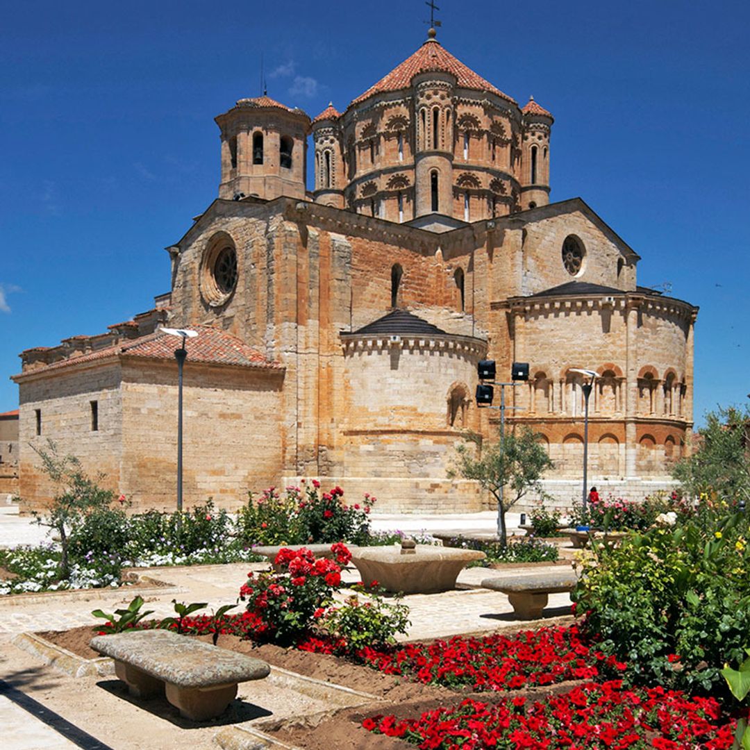 Toro Colegiata, Zamora