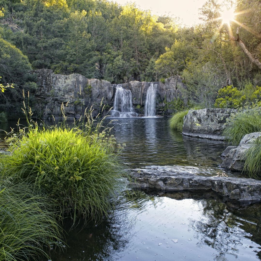 Poza del Río Ejacos Negros, Sierra Norte de Guadalajara, Cantalojas, Hayedo Tejera Negro
