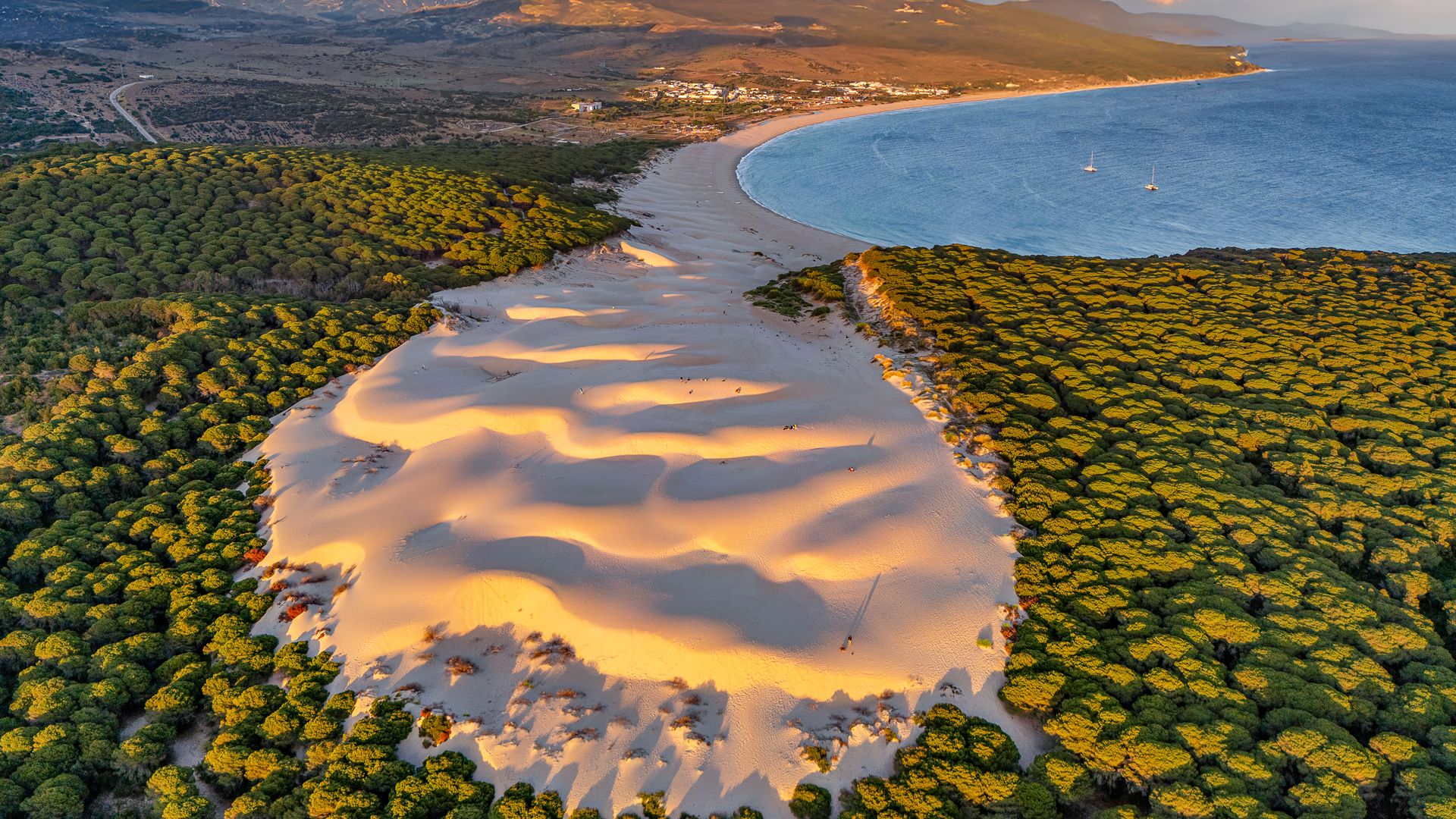 Duna de Bologna, Cádiz, entre las playas más hermosas de España para el verano de 2025