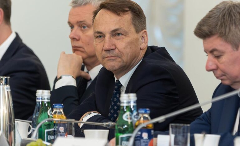 Polonia acusa al primer ministro húngaro de llevar «años saboteando» la UE en coordinación con Putin