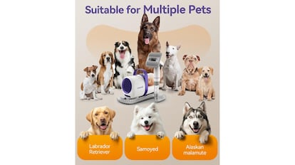 Este es el mejor cepillo para perros de vacío que puedes comprar en Amazon.