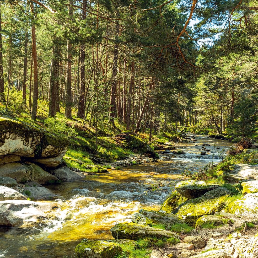 Rivière Valsaín, La Granja, Riofrío