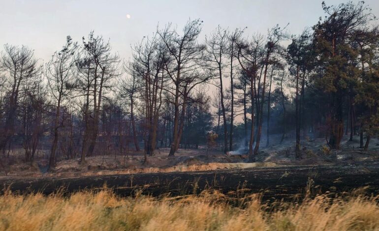 La lucha de Turquía contra varios incendios, en medio de una ola de calor que supera los 40 grados