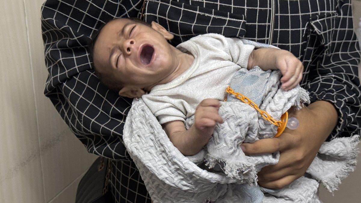 El pulso por la ayuda humanitaria en Gaza enfrenta a Israel y la ONU