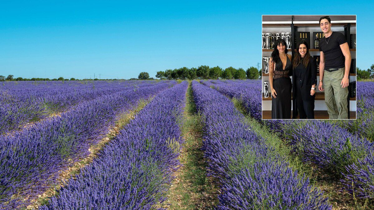 la escapada rural de Aitana y Plex entre lavanda, vino y raíces