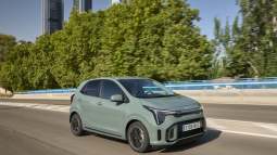 Picanto66