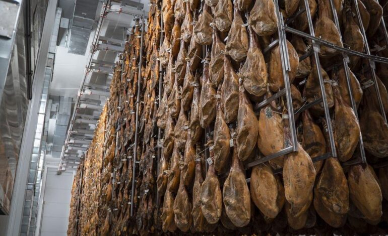 El grupo alimentario Vall Companys ingresa casi lo mismo que el año anterior, pero eleva un 15% su beneficio