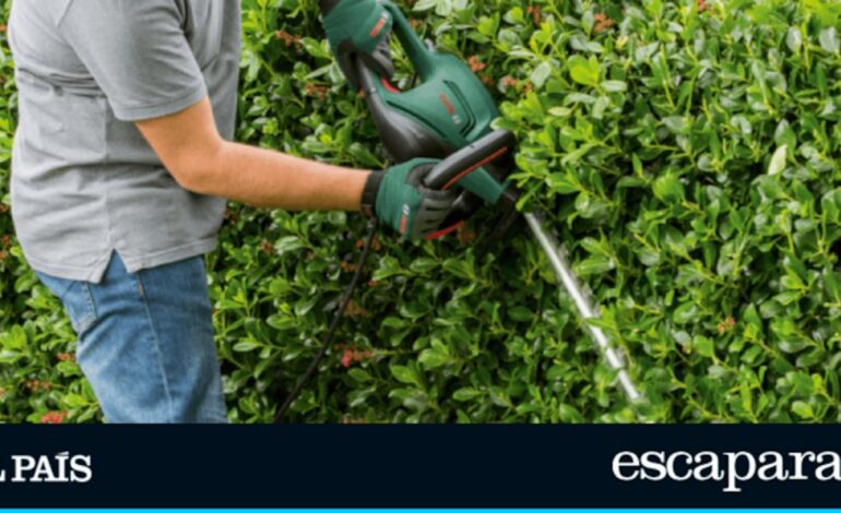 Amazon arrasa con el cortasetos eléctrico ideal para poner a punto el jardín en verano | Lo más vendido | Escaparate