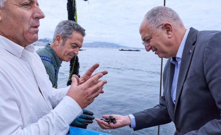 COMISIÓN EUROPEA | Bruselas hunde el presupuesto para la pesca a 2.000 millones, un 67% menos