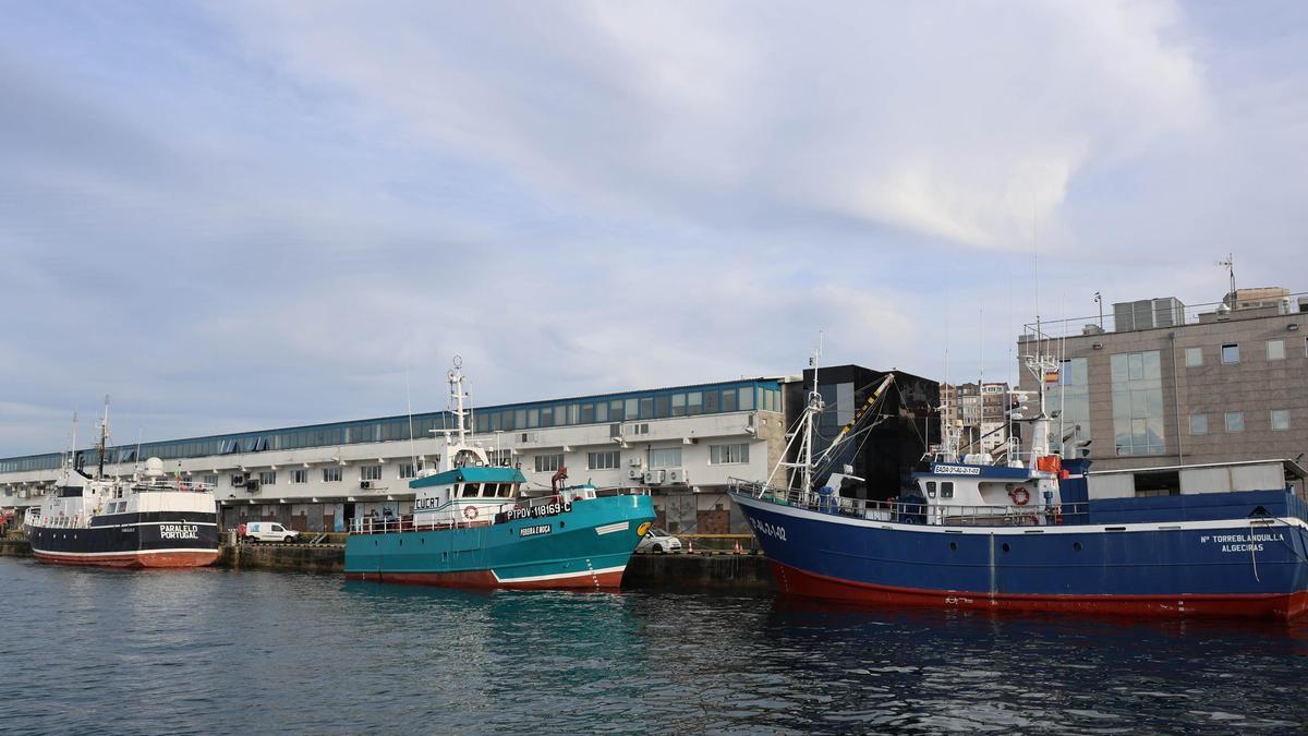 Solo España cumple con el control a la pesca importada dentro de la UE