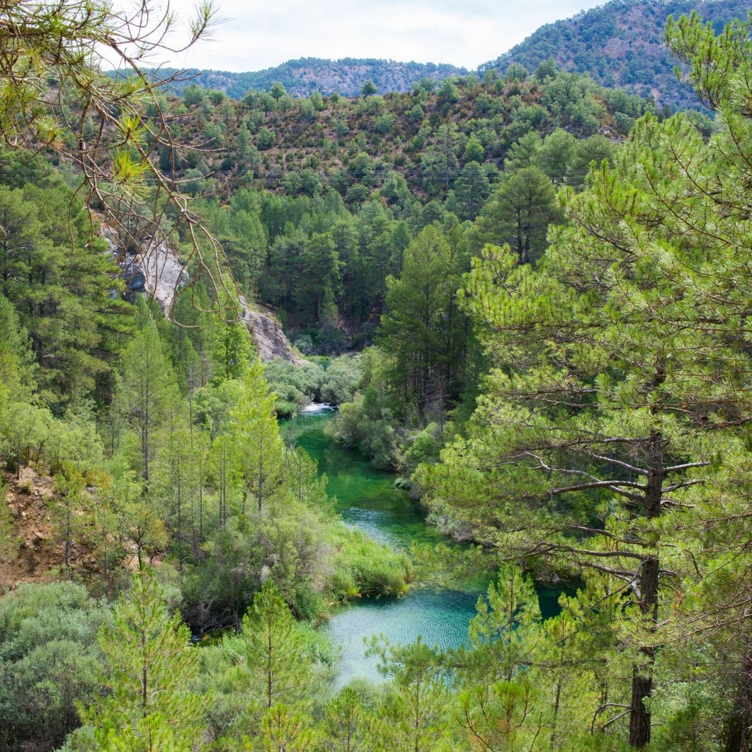 Alto Tajo Park Natural, Zaorejas, Guadalajara