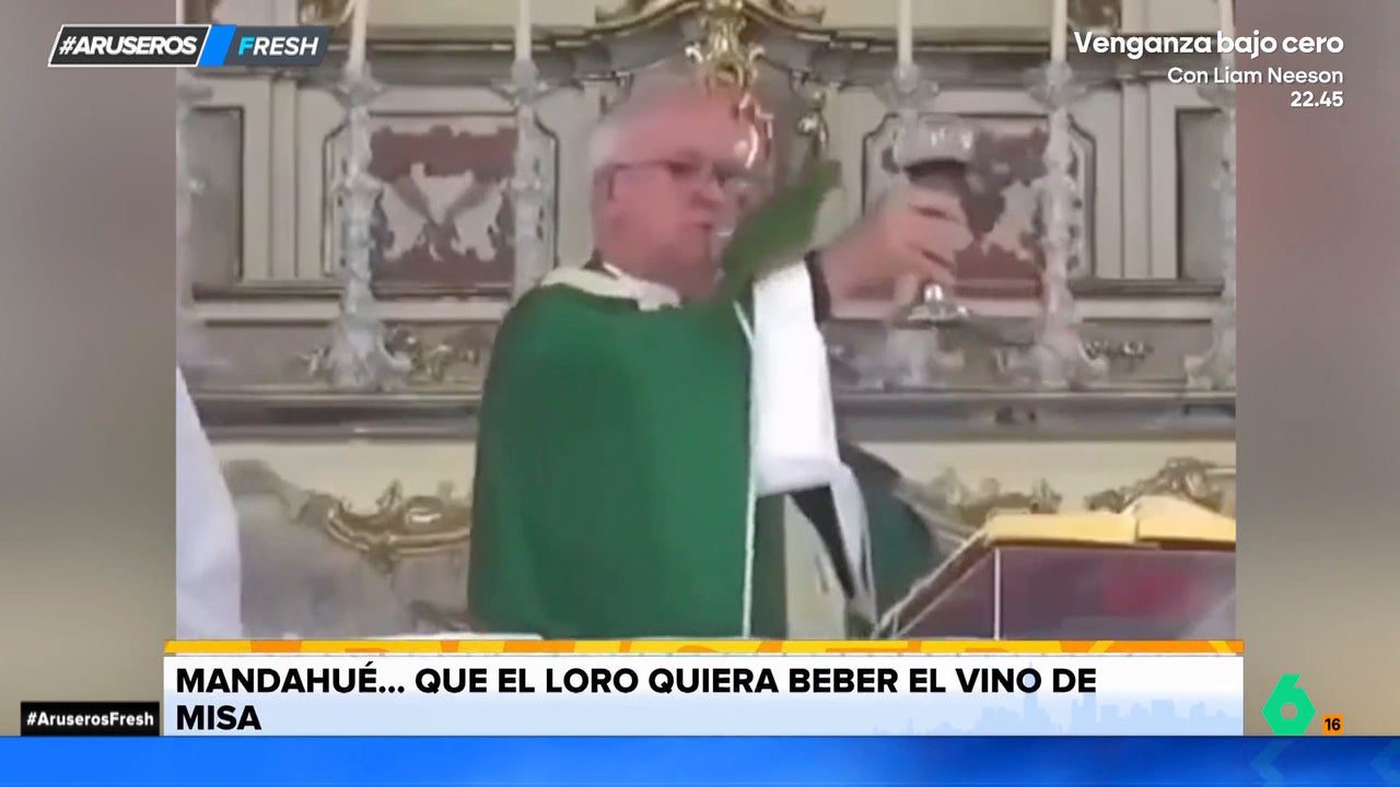 Un loro se cuela en pleno sermón para robarle el vino de misa al cura