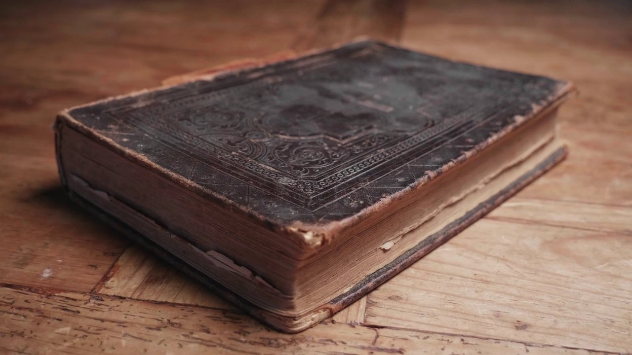 100.000 libros dañados por una plaga de cucarachas en la biblioteca más antigua de Hungría