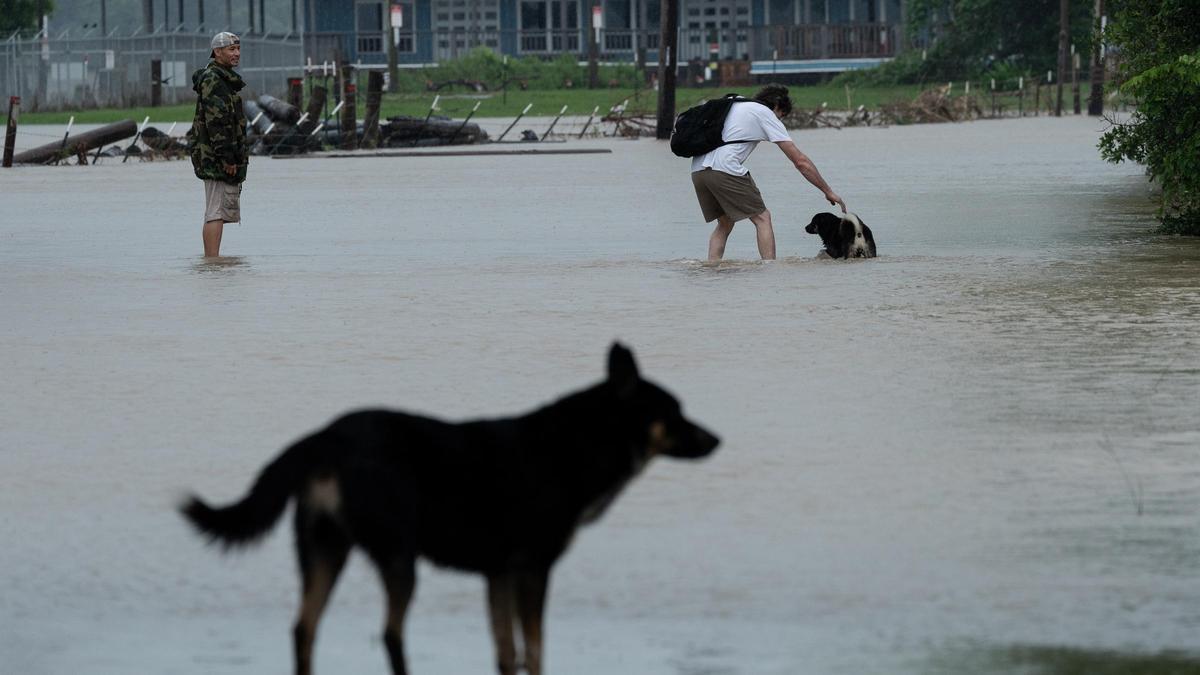 Al menos 13 muertos en Texas por una súbita inundación tras la crecida del río Guadalupe