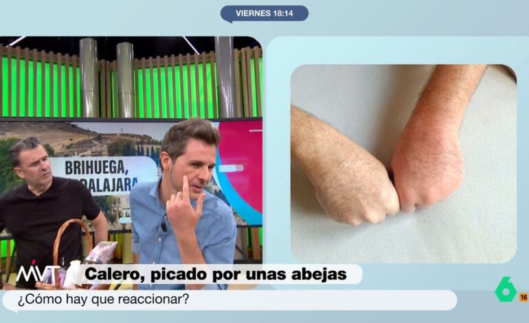 No las estaba molestando, estaba en su ruta de vuelo
