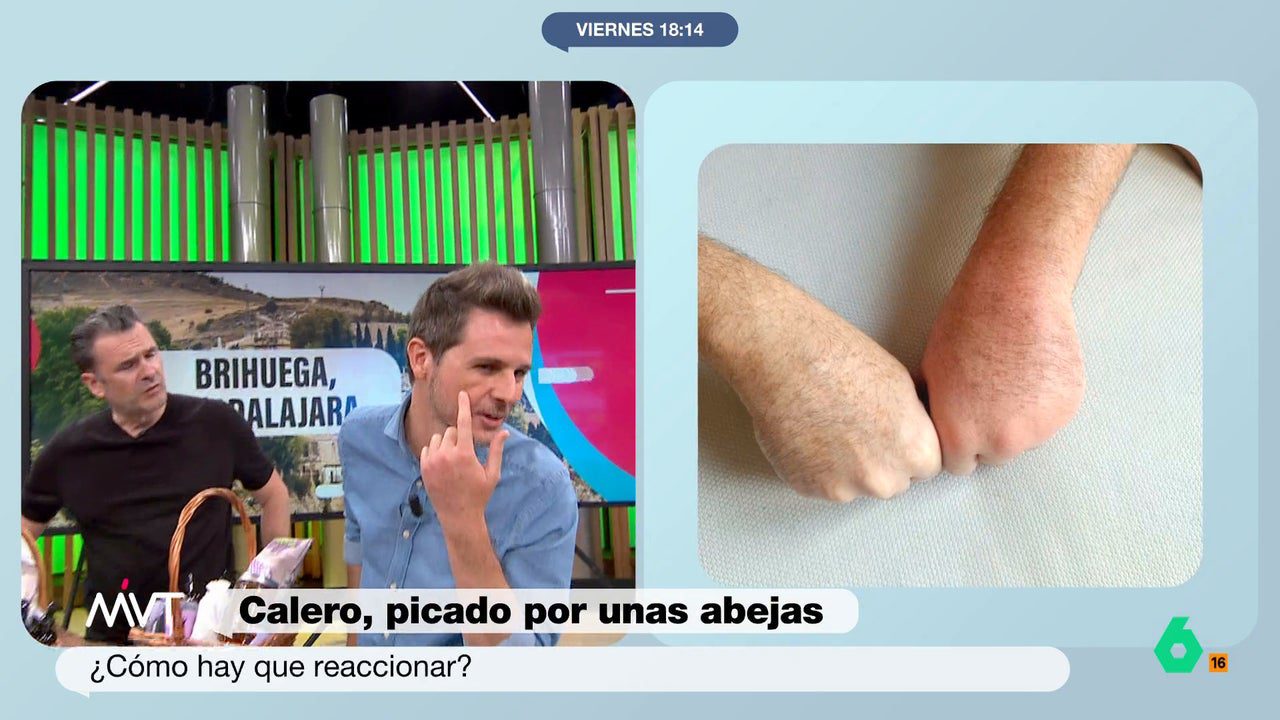 No las estaba molestando, estaba en su ruta de vuelo