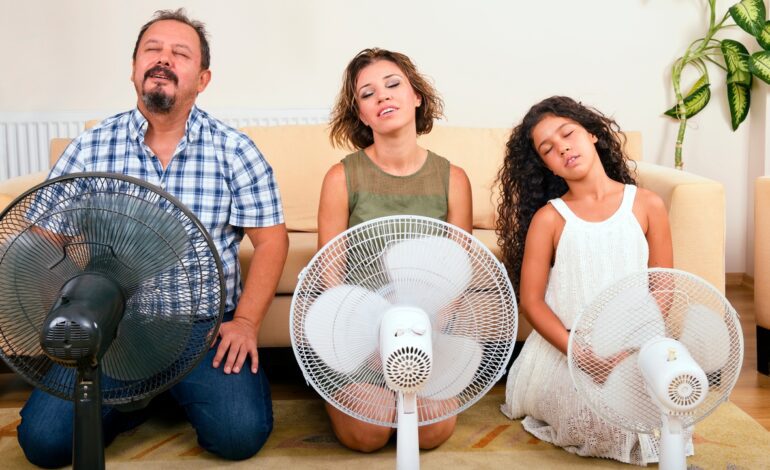 ¿Cuánto cuesta tener el ventilador encendido todo el día?