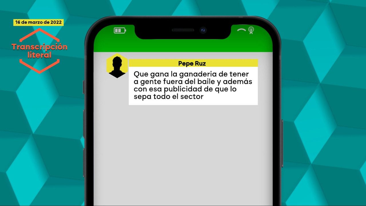El constructor Ruz niega las mordidas, pero admite comidas con Ábalos y decenas de reuniones con Koldo, que le dio un móvil ‘seguro’