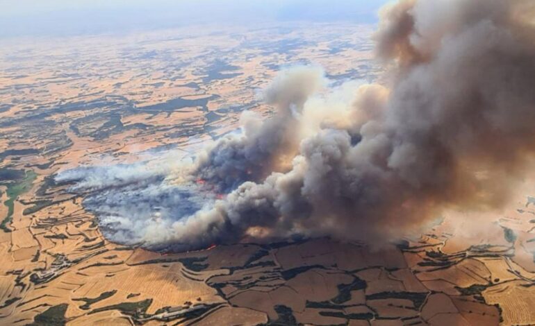 El fuego se lo llevó