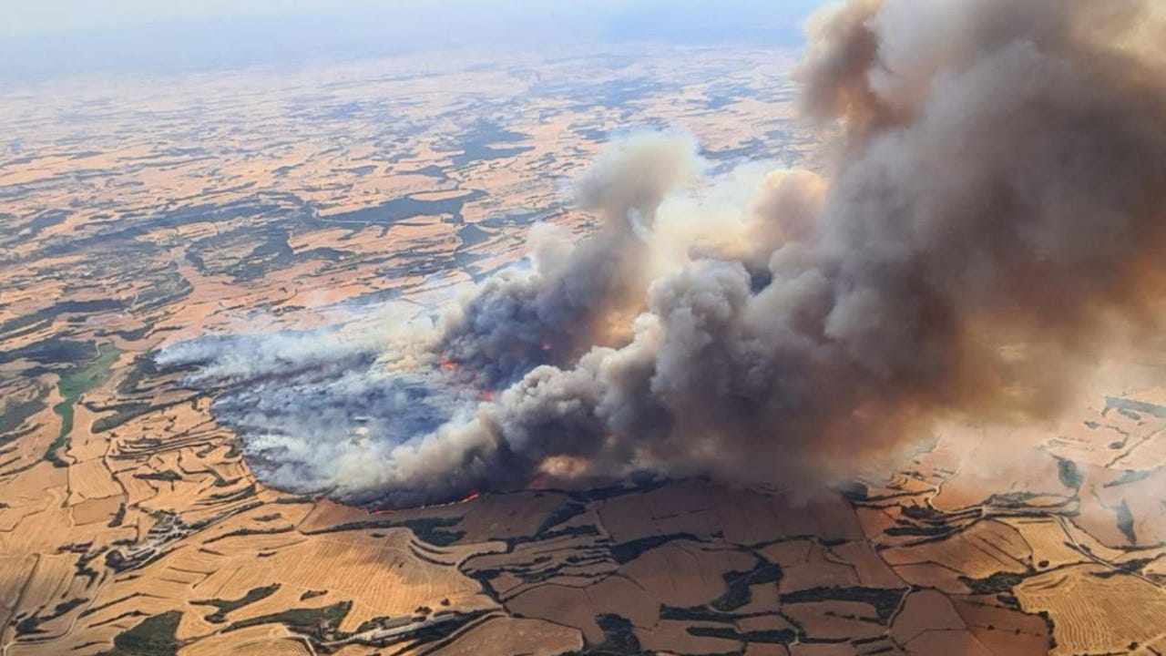 El fuego se lo llevó