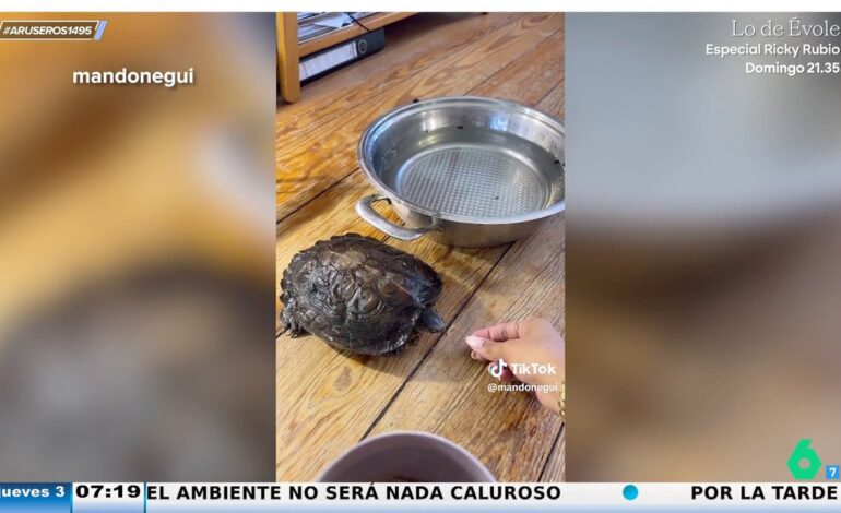 Una dueña le rebaja el alquiler del piso a su inquilina por cuidar de su mascota