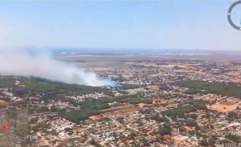 Un incendio obliga a desalojar varias viviendas en la carretera del Molino Viejo en Chiclana (Cádiz)