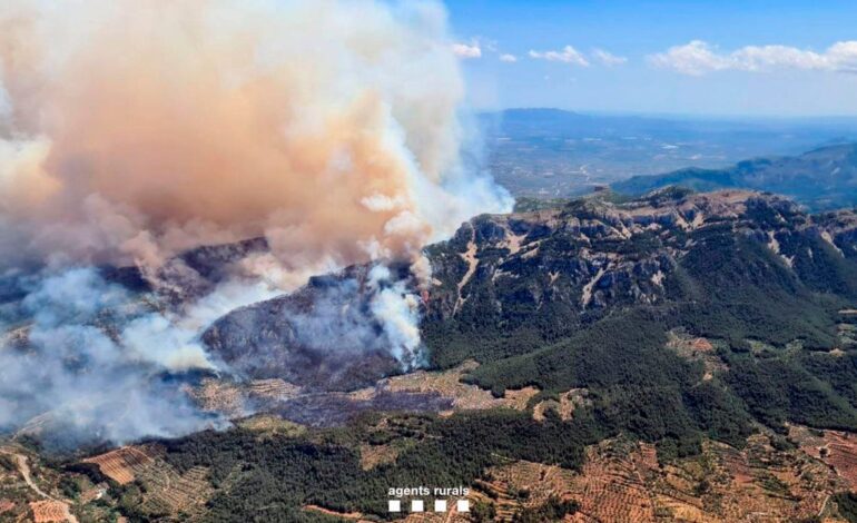 Los bomberos confían en dar por estabilizado el incendio forestal de Paüls en las próximas horas