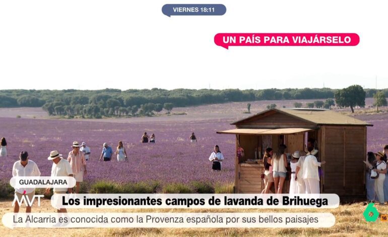 ‘Un país para viajárselo’ nos lleva a los morados campos de lavanda de Brihuega y al mágico aroma del pueblo en pleno festival