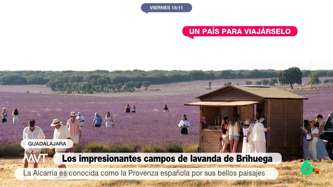 ‘Un país para viajárselo’ nos lleva a los morados campos de lavanda de Brihuega y al mágico aroma del pueblo en pleno festival