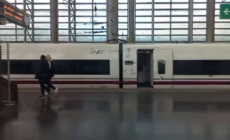 Dos detenidos por el robo de cable en el AVE que afectó a 21 trenes y más de 6.000 viajeros el pasado 4 de mayo