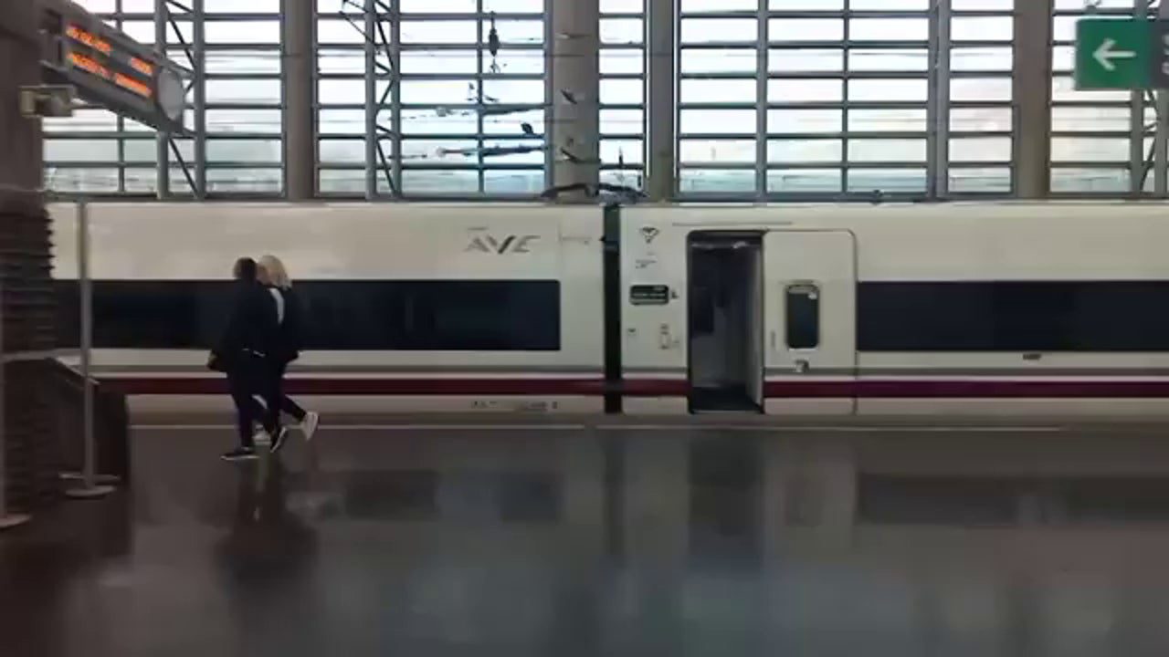 Dos detenidos por el robo de cable en el AVE que afectó a 21 trenes y más de 6.000 viajeros el pasado 4 de mayo