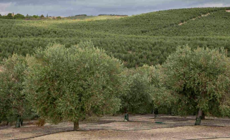 Nuevo golpe a la Agricultura