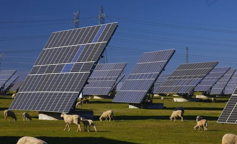 por qué el RDL ‘antiapagones’ consolida nuestro liderazgo energético