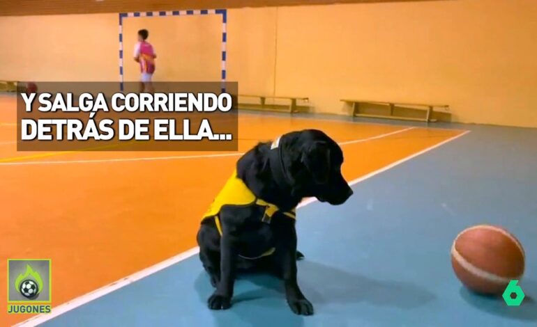 ‘Jugones’ comprueba cómo es el entrenamiento de los perros guía para los Juegos Paralímpicos