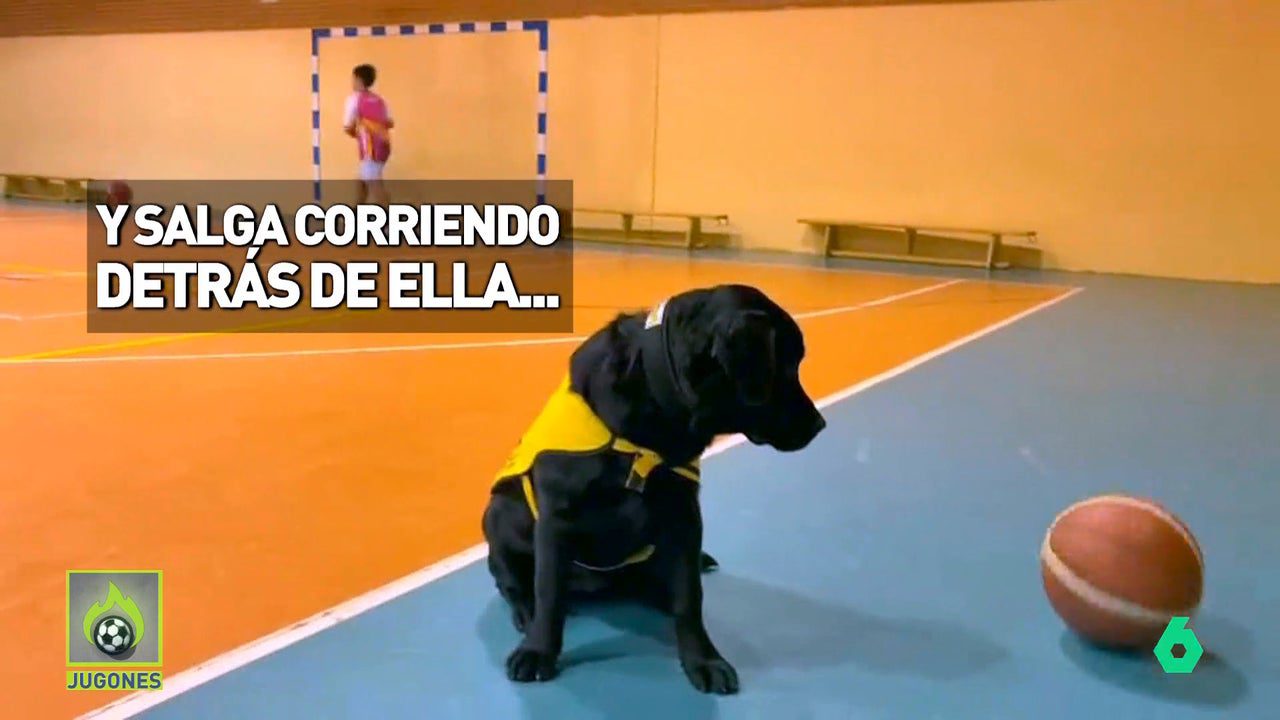 ‘Jugones’ comprueba cómo es el entrenamiento de los perros guía para los Juegos Paralímpicos