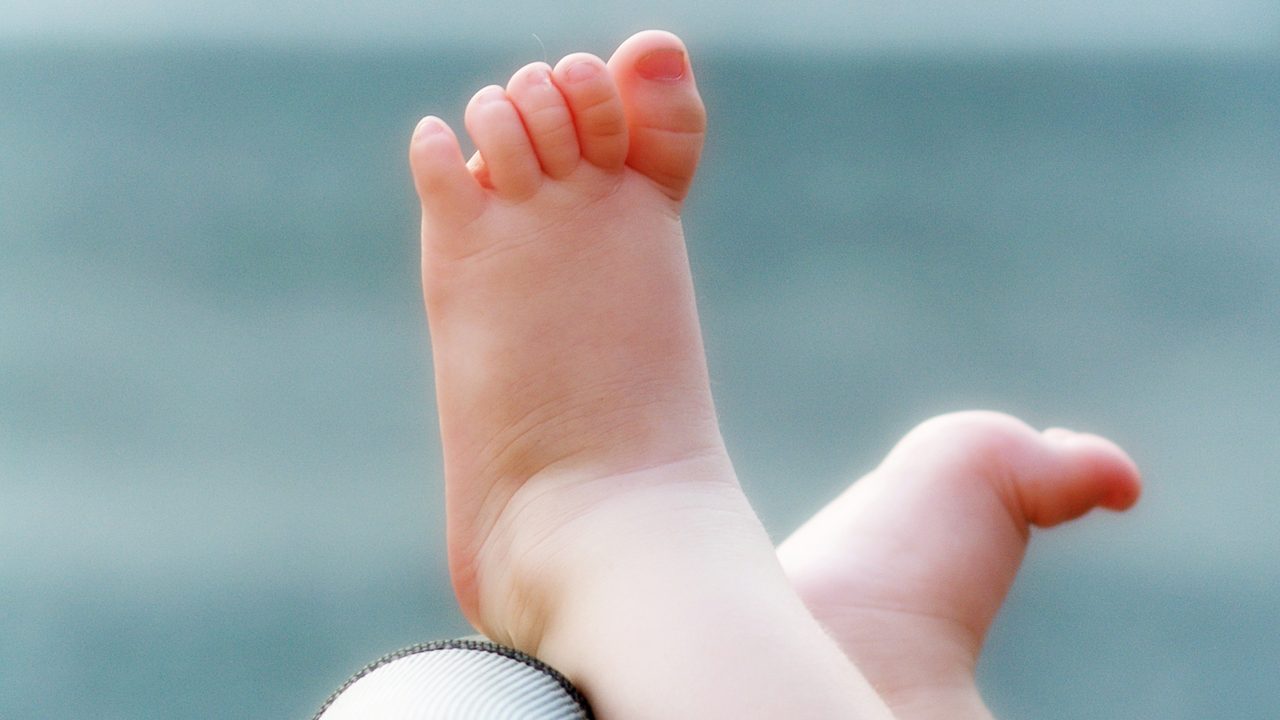 descubren a una pareja con más de 20 niños, todos nacidos por gestación subrogada