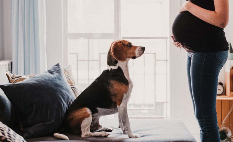 ¿cuesta más tener un hijo o un perro?