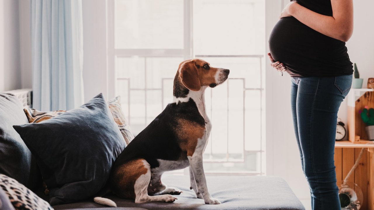 ¿cuesta más tener un hijo o un perro?