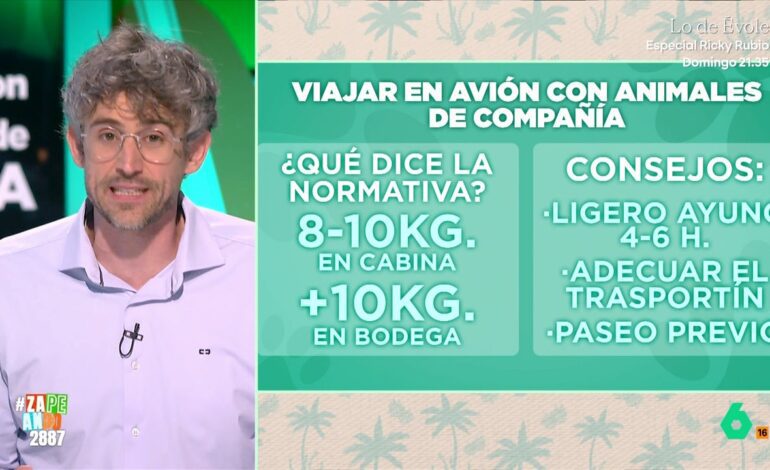 ¿Qué necesito para viajar en avión con mi perro o gato? Víctor Algra explica los requisitos por ley y algún consejo
