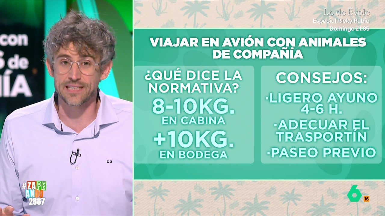 ¿Qué necesito para viajar en avión con mi perro o gato? Víctor Algra explica los requisitos por ley y algún consejo