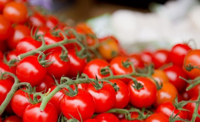 COAG y CECU denuncian ante Consumo el posible fraude del cherry ‘marroquí’