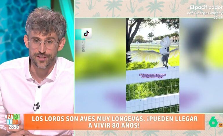 ¿Podemos darle la vida que se merece durante los próximos 50 años?